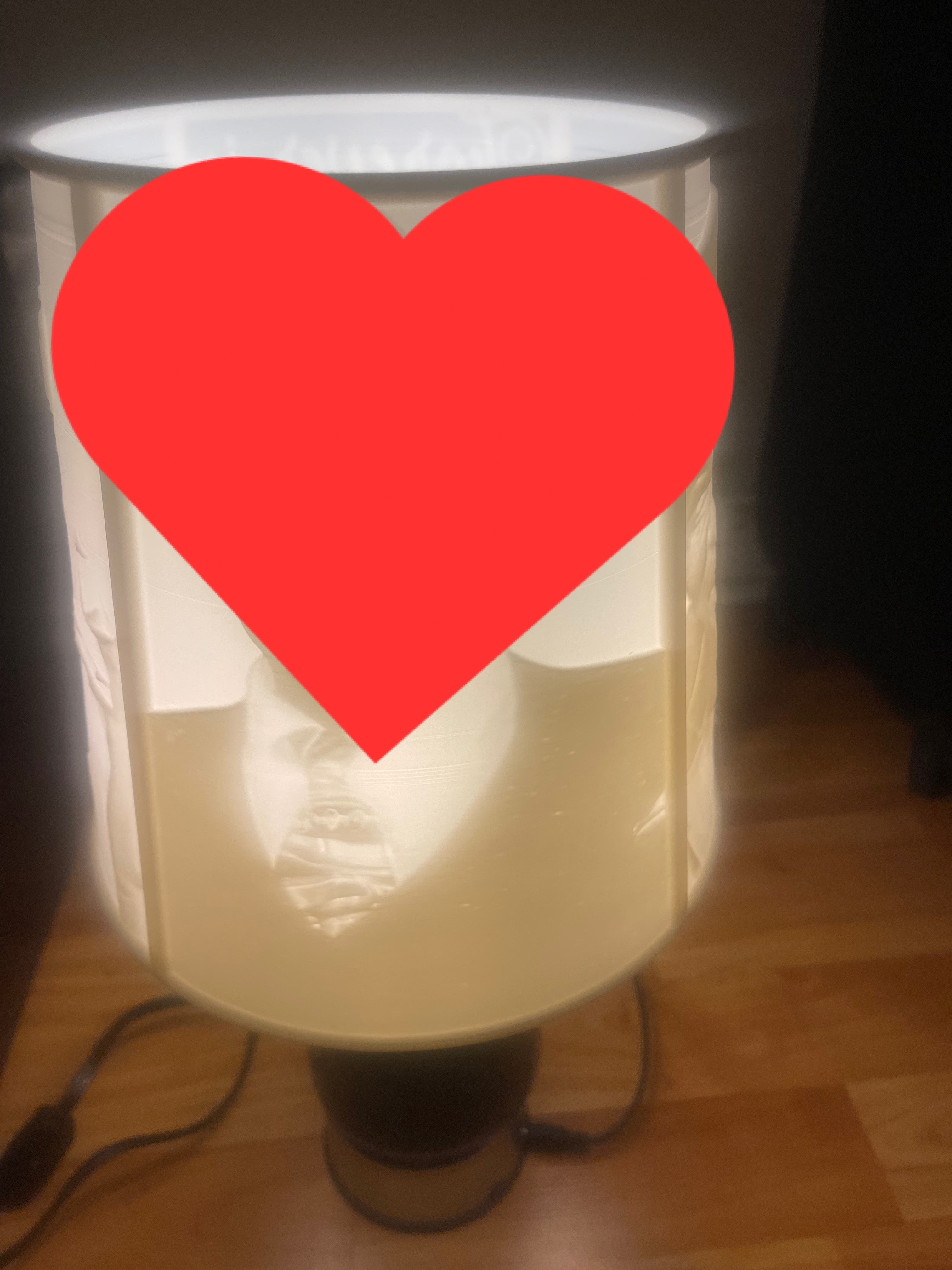 3D Printed Custom Lamp Shade